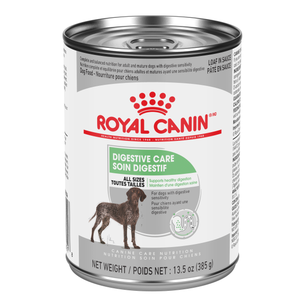 Royal Canin Digestive Care Loaf in Sauce 13.5oz - Dog Food