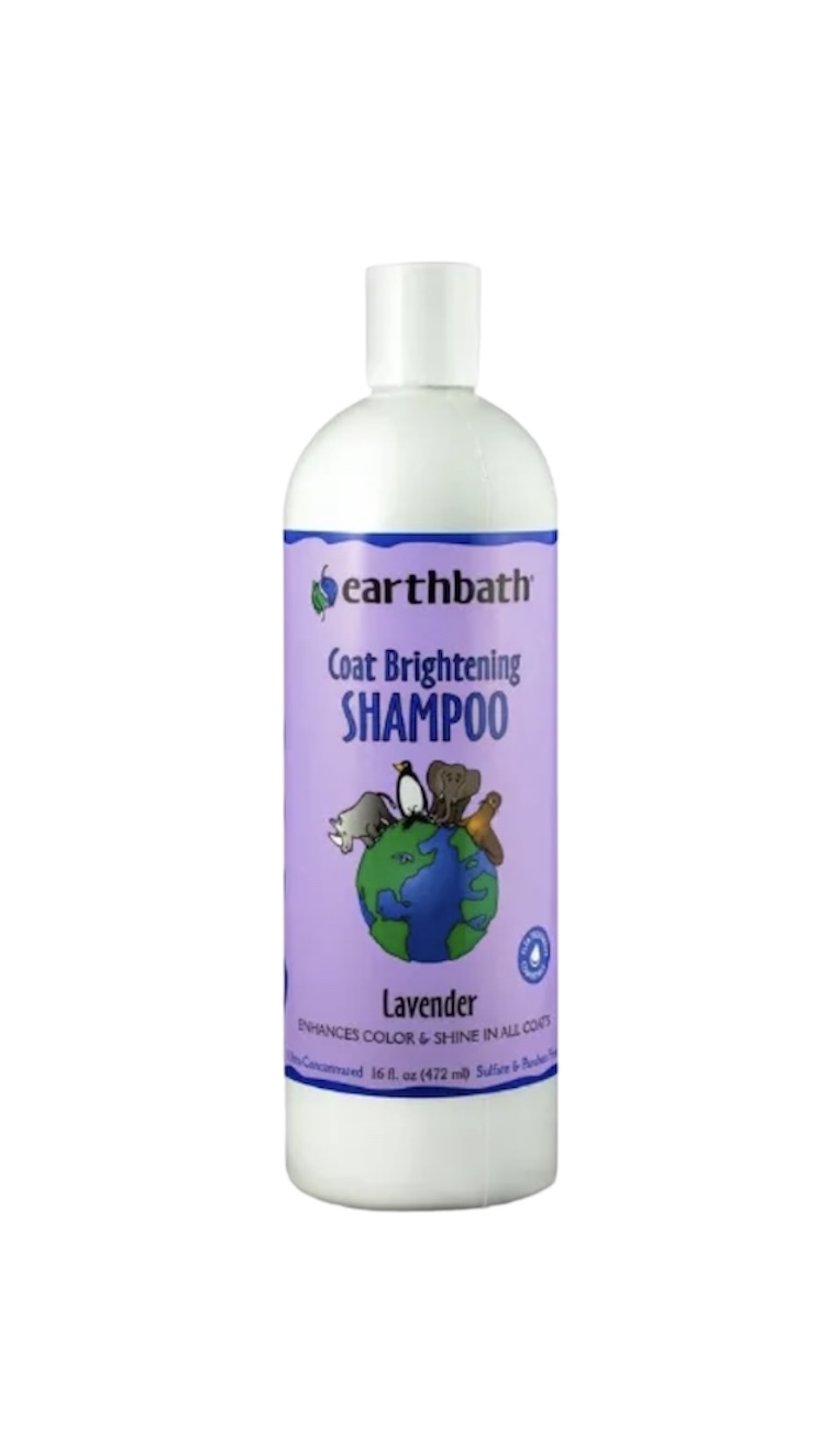 Earthbath Coat Brightening Shampoo Lavender 16oz