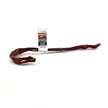 Puppy Love Beef Jr Cane