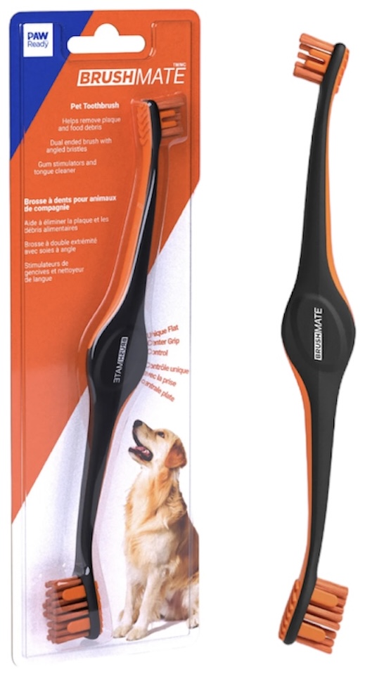 Paw Ready Brush Mate Orange