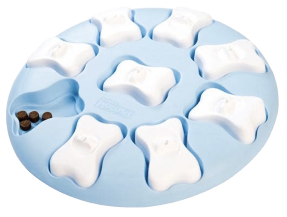 Outward Hound Puppy Smart Hide, Seek & Treat!