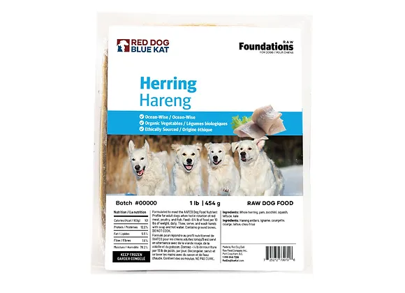 Red Dog Blue Kat Frozen Raw Foundations Herring 1lb - Dog Food