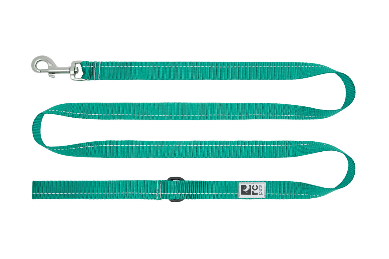 RC Primary Leash 1/2 x 6 Parakeet