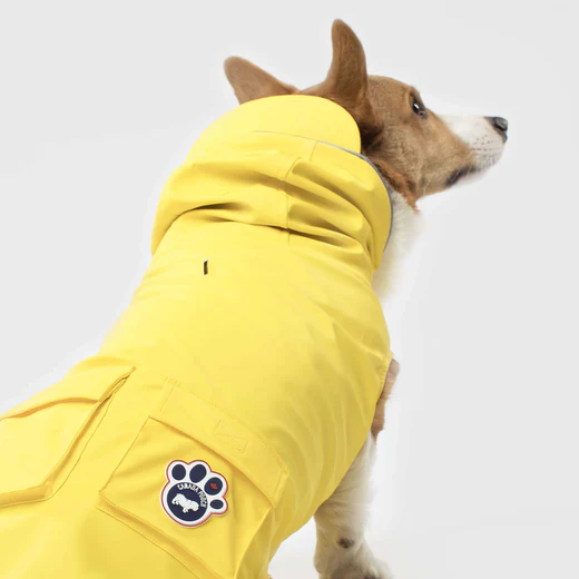 Canada Pooch Torrential Tracker Yellow (Size 10)