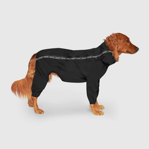 Canada Pooch The Slush Suit Black (Size 10)