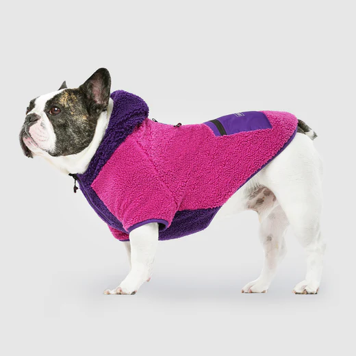 Canada Pooch Cool Factor Hoodie Pink & Purple (Size 12)