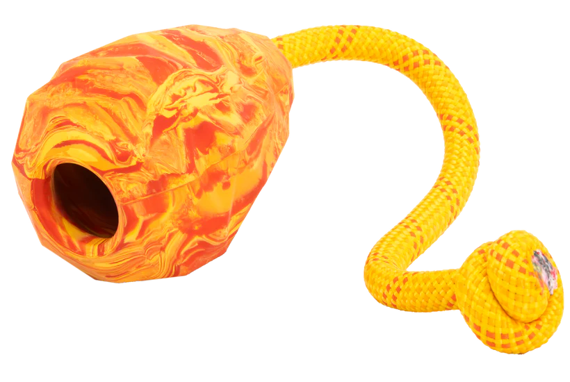 Huck-a-Cone™ Toy - Salamander Orange