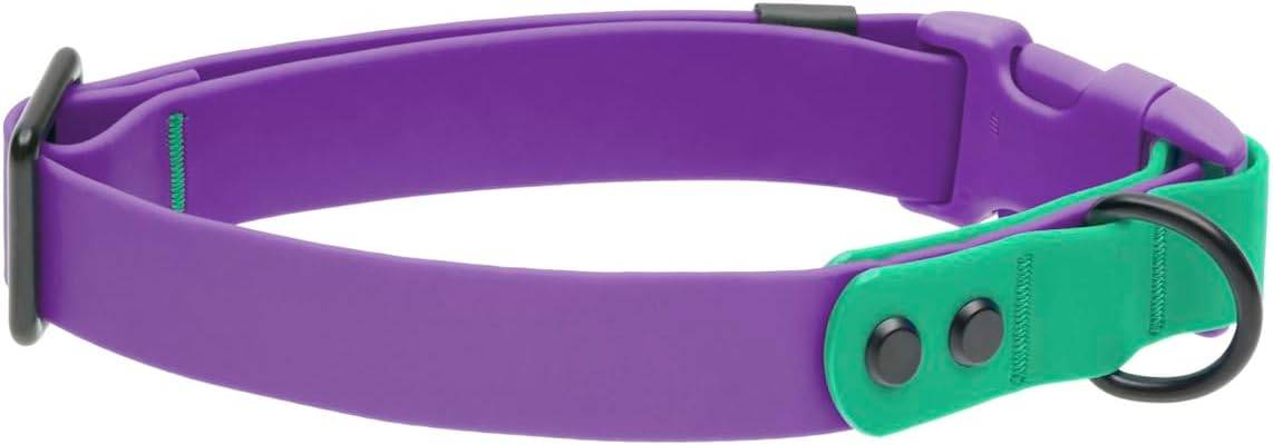 RC Pets Waterproof Collar (Purple & Parakeet) - Medium