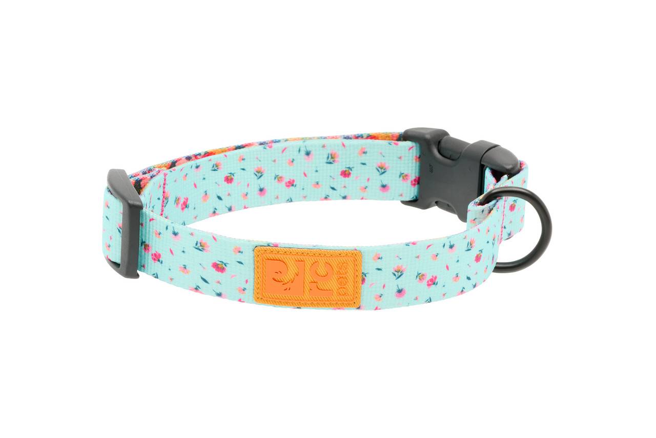 RC Pets Eco Collar - Dainty Mint (Small)