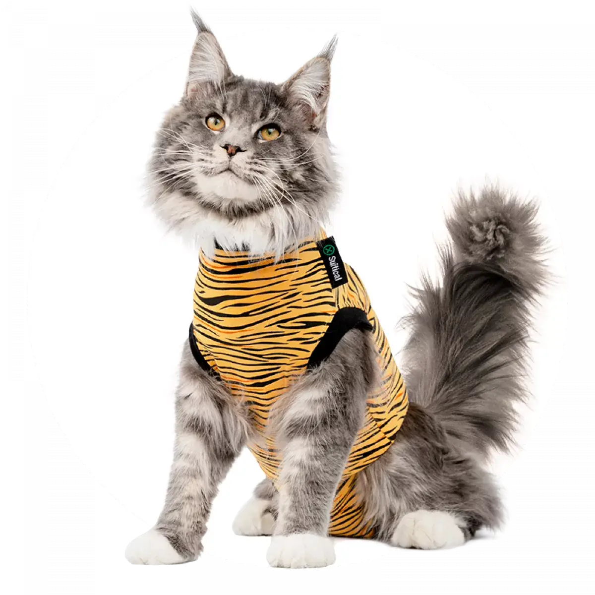 Recovery Suit Tiger Print XS for Cat