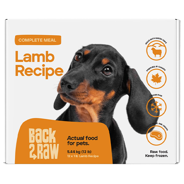 Back2Raw Dog Complete Lamb 12lb (1lb x 12 packs)