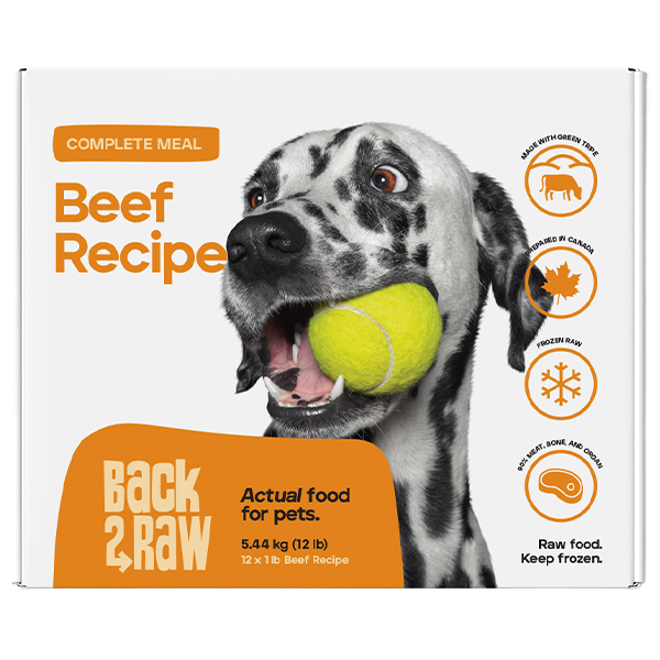 Back2Raw Dog Complete Beef 12lb (1lb x 12 Packs)