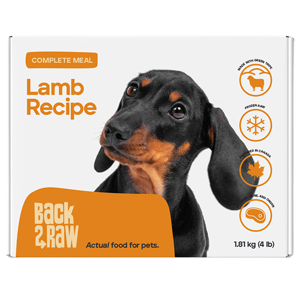 Back2Raw Complete Meals Lamb Recipe Frozen Dog Food, 1-lb, 4-pack (Size: 1-lb, 4-pack)