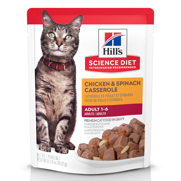 Hill's Chicken & Spinach Casserole Pouch 2.8oz for Cat